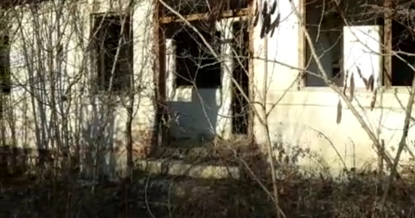 casa parasită bebeluş abandonat
