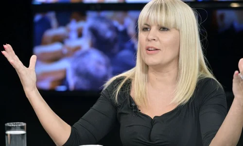 elena udrea netflix serial milionara jpeg