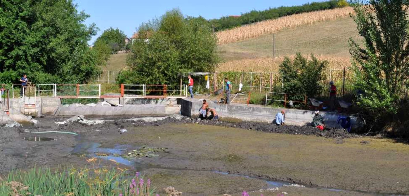 Muncitorii de la Administraţia Bazinală lucrează pentru direcţionarea apei în Lacul cu Nuferi