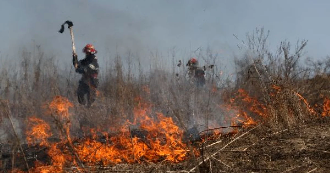 Incendiu de vegetaţie pe autostrada A1