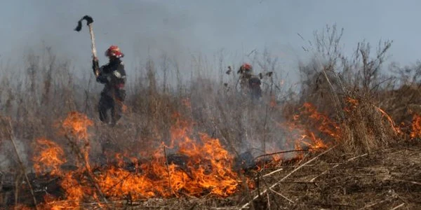 Incendiu de vegetaţie pe autostrada A1