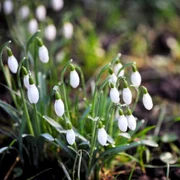 calarasi vreme calda in weekend foto mediafax