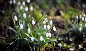 calarasi vreme calda in weekend foto mediafax