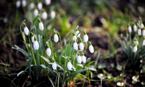 calarasi vreme calda in weekend foto mediafax