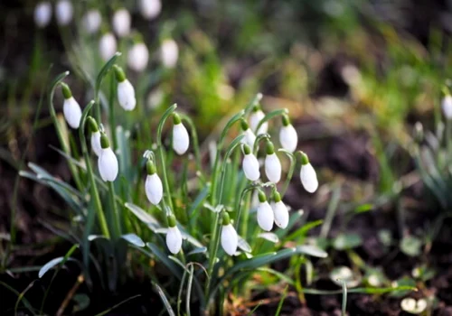 calarasi vreme calda in weekend foto mediafax