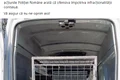 Marcel Vela, un mare iubitor de animale, a promis că lupta împotriva criminalității va continua jpeg