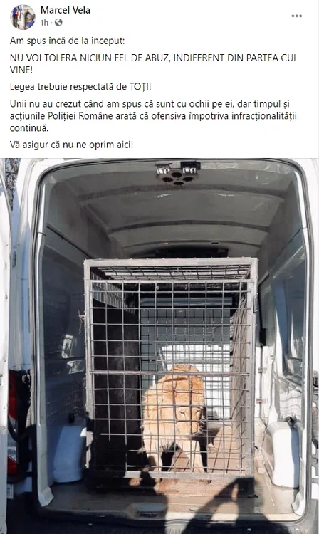 Marcel Vela, un mare iubitor de animale, a promis că lupta împotriva criminalității va continua