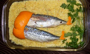 CLIIMA20120611 0045 1 jpeg