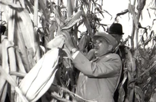Nicolae Ceauşescu (© „Fototeca online a comunismului românesc”, cota: 167/1979)