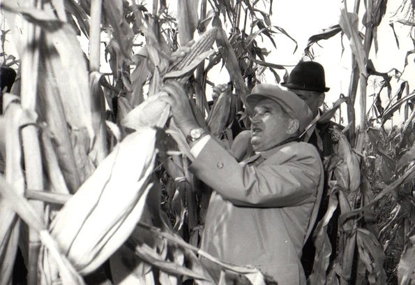 Nicolae Ceauşescu (© „Fototeca online a comunismului românesc”, cota: 167/1979)