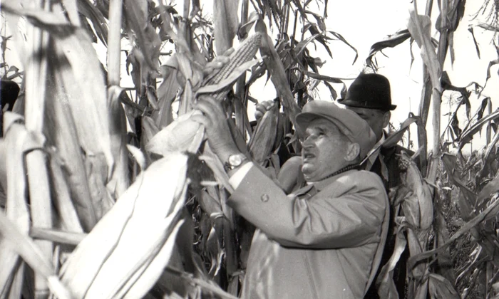 Nicolae Ceauşescu (© „Fototeca online a comunismului românesc”, cota: 167/1979)