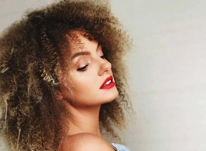 
    Alexandra Stan seamănă izbitor cu Tina TurnerFoto: Instagram  