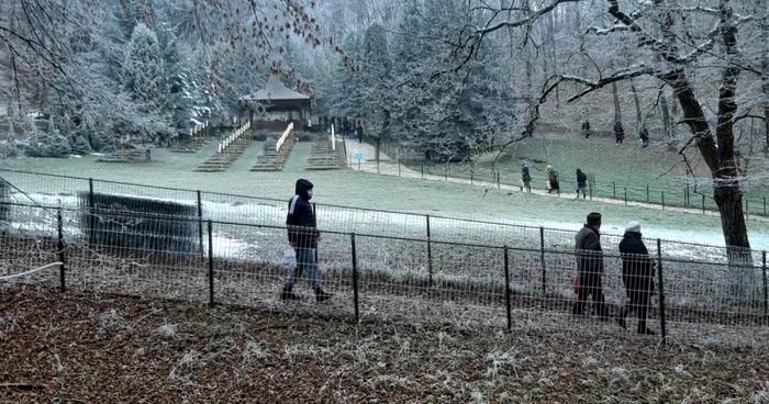 pelerinaj manastirea prislop foto daniel guta adevarul