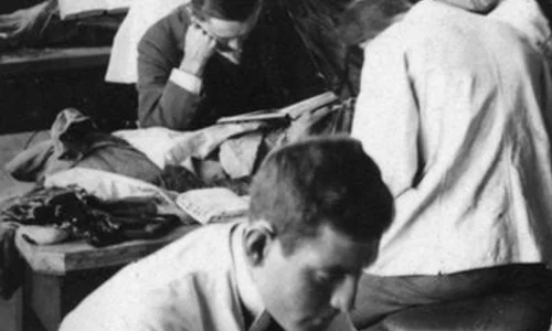 Istoria intelectuală şi criza ştiinţelor umaniste jpeg