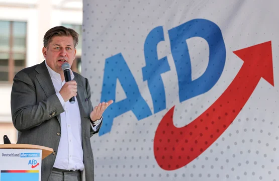 maximiliam krah afd FOTO Getty Images