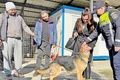 foto1 IPJ hunedoara jpg