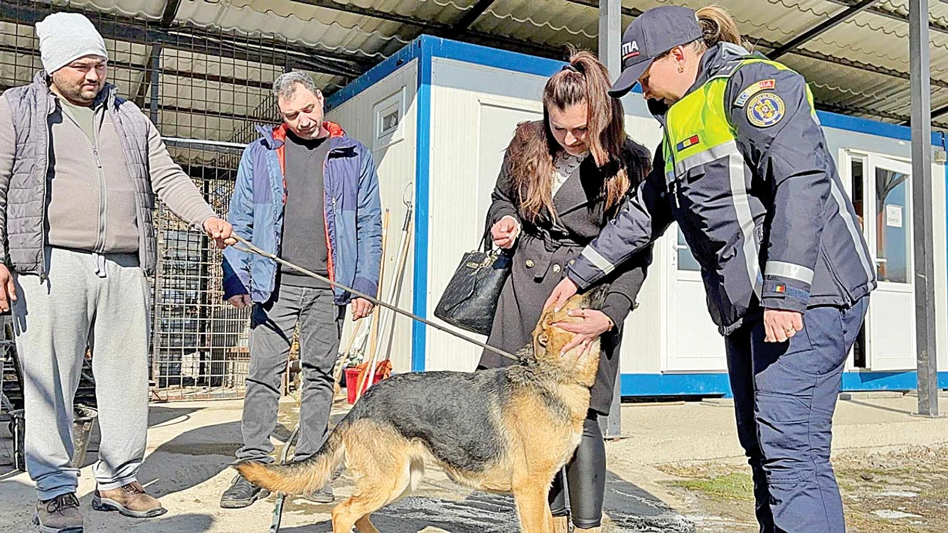 Căţeluşa s-a bucurat să-şi reîntâlnească familia