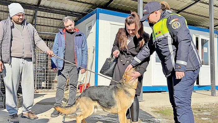 Căţeluşa s-a bucurat să-şi reîntâlnească familia