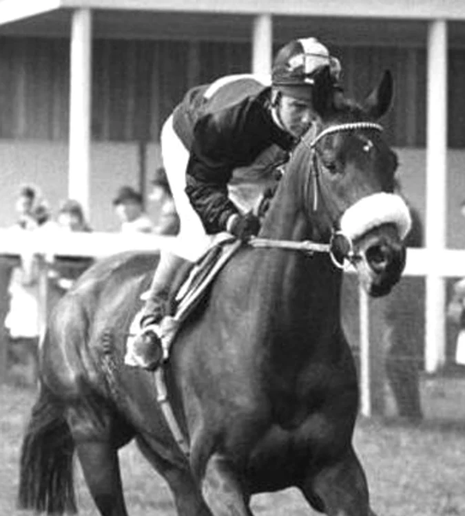 Anul Calului Mill Reef jpeg