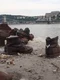 pantofi dunare budapesta captura video jpg