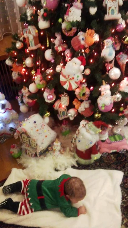 Fetita Elenei Băsescu