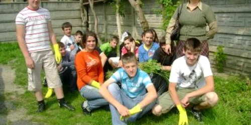 Satu Mare: Profesoara falsificatoare va preda în continuare la Avram Iancu