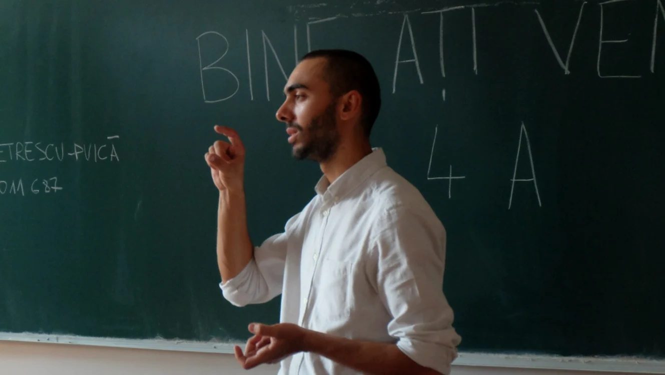 mihai puica