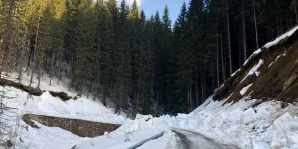drum bucegi