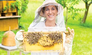 22 23 sanatate 33453673 foto 123rf jpeg