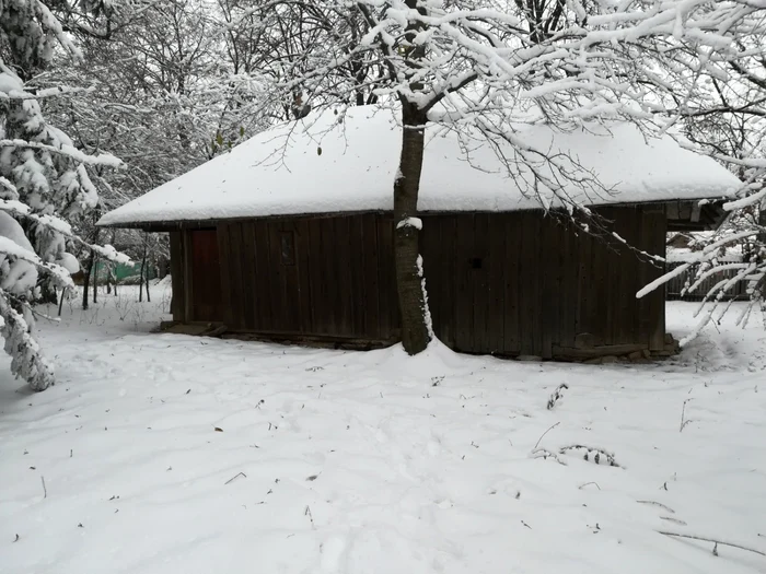 Biserica de lemn de la Dobrinăuţi Hapăi FOTO Cosmin Zamfirache