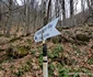 Cetatea dacică Fețele Albe  Foto Daniel Guță  ADEVĂRUL (117) jpg