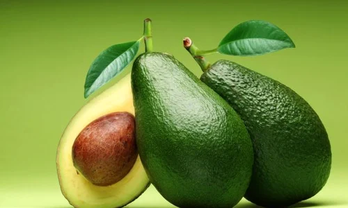 avocado jpeg