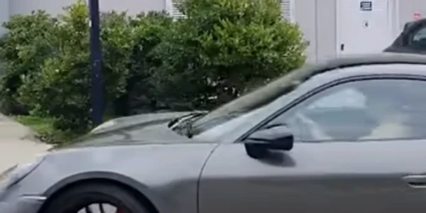 porschesinner jpg
