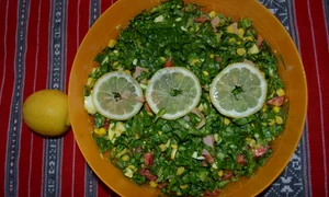 CLIIMA20140323 0046 1 jpeg