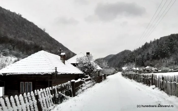 runcu mare foto daniel guta adevarul