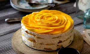 1 tiramisu jpg jpeg