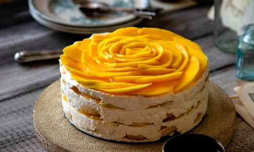 1 tiramisu jpg jpeg