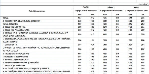 salarii 2018 sursa INS