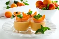 panna cotta caise shutterstock 288283781 jpg