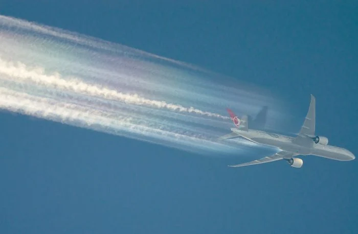 
    Avionul a fost nevoit să aterizeze de urgenţăFoto Twitter  