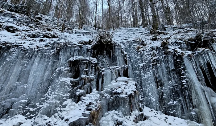 Cheile Jiețului din Hunedoara. / Foto: Daniel Guță ADEVĂRUL