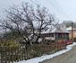 Poienița Voinii Hunedoara  Foto Daniel Guță  ADEVĂRUL (6) jpg
