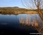 balta lebedelor hunedoara foto daniel guta adevarul