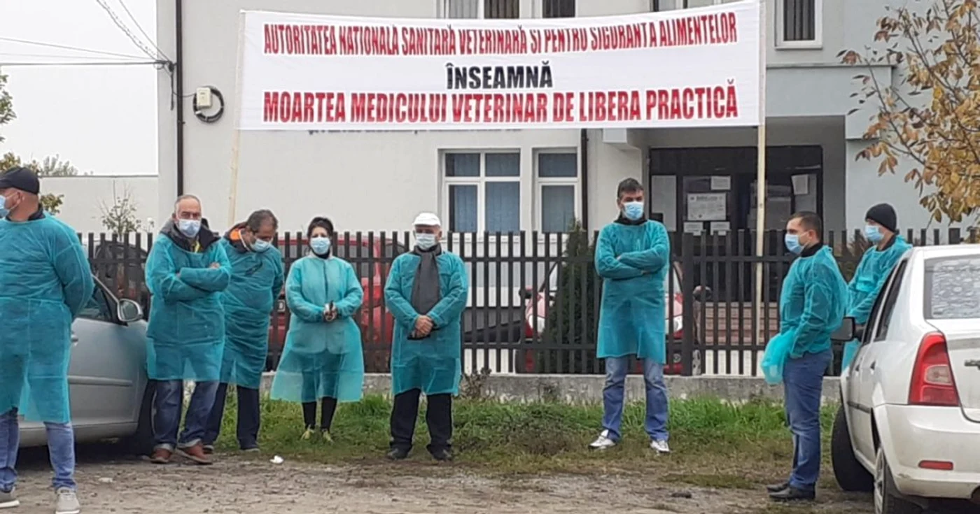 medicii veterinari concesionari spun că sunt la limita supravieţuirii FOTO: Adevărul