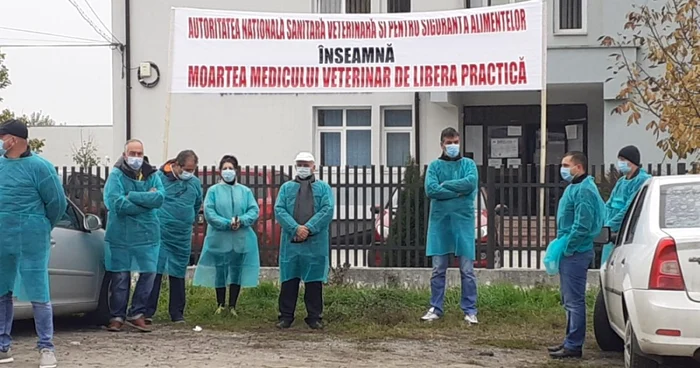 medicii veterinari concesionari spun că sunt la limita supravieţuirii FOTO: Adevărul