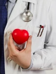 doctor ce tine o inima de plastic in fata pieptului cardiologie chinica hereditas png