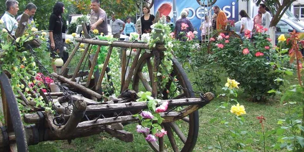 spatiu verde