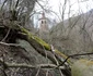 Fostul sat Baia Craiului Foto Daniel Guță ADEVĂRUL (2) JPG