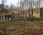 Sarmizegetusa Regia, solstitiu de iarnă Foto Daniel Guță ADEVĂRUL (10) JPG