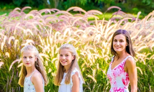 4 profimedia 0462380791 jpg jpeg